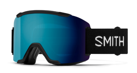 Smith Squad Goggle