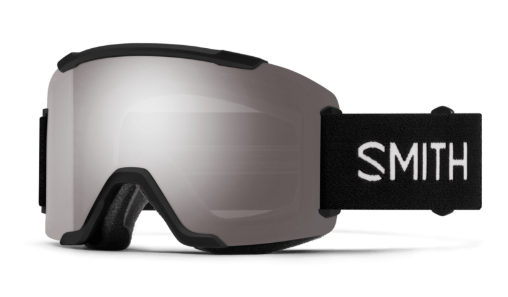 Smith Squad Goggle