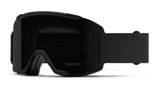 Smith Squad Goggle